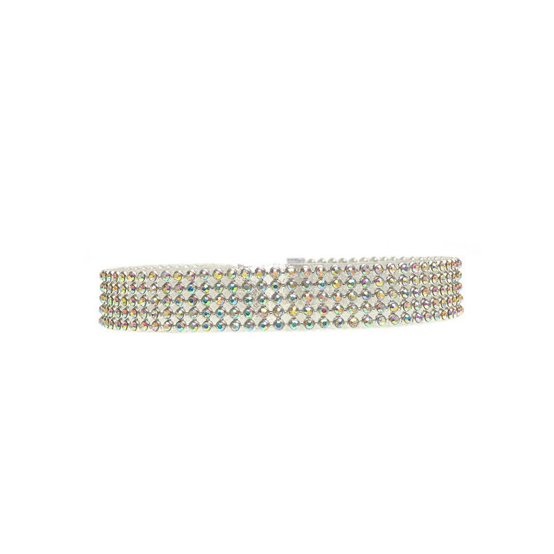 Crystal Choker Necklace
